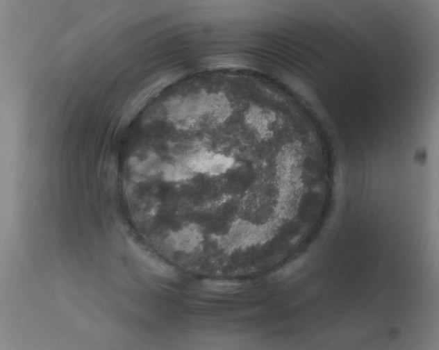 X0000110710825200907022020