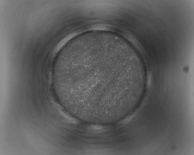 X0000110710829200907022021