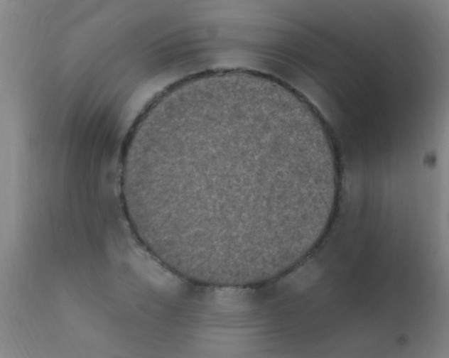 X0000110710832200907022021