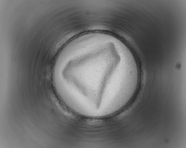 X0000110710833200907022021