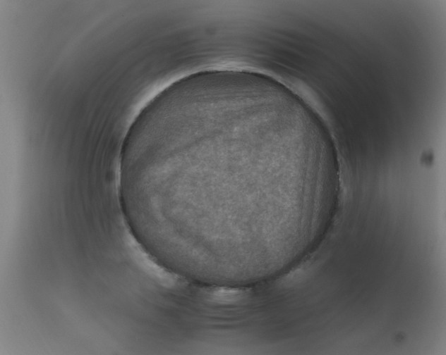 X0000110710839200907022021