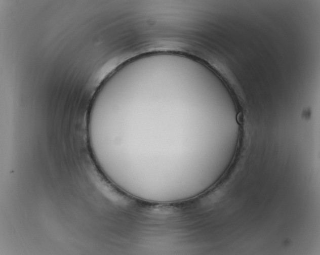 X0000110710842200907022021