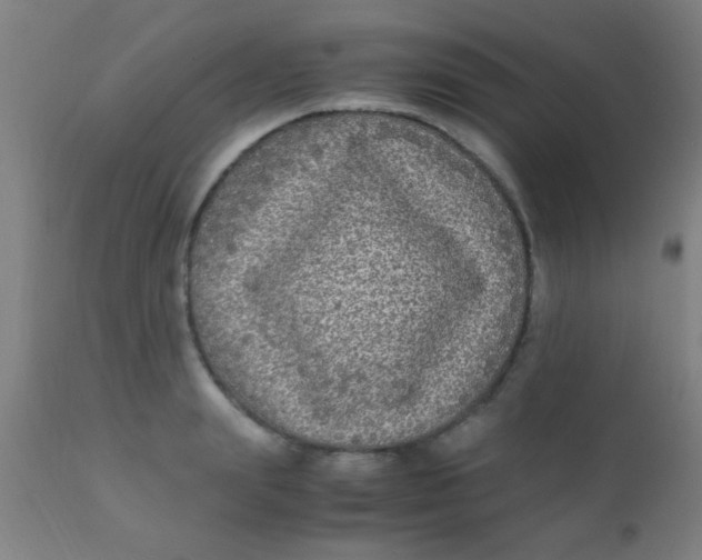 X0000110710847200907022021