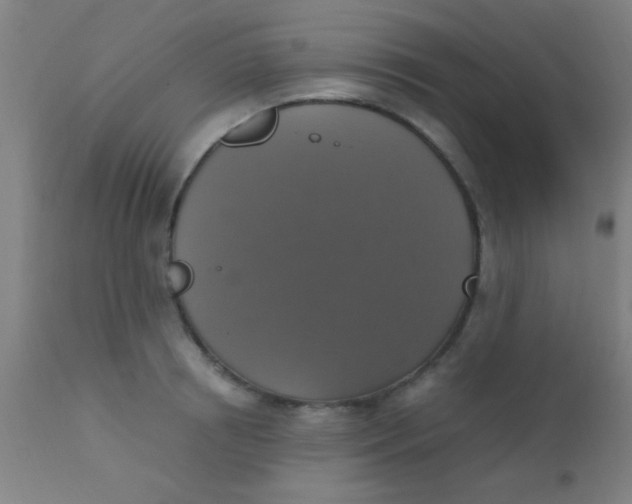 X0000110710850200907022021