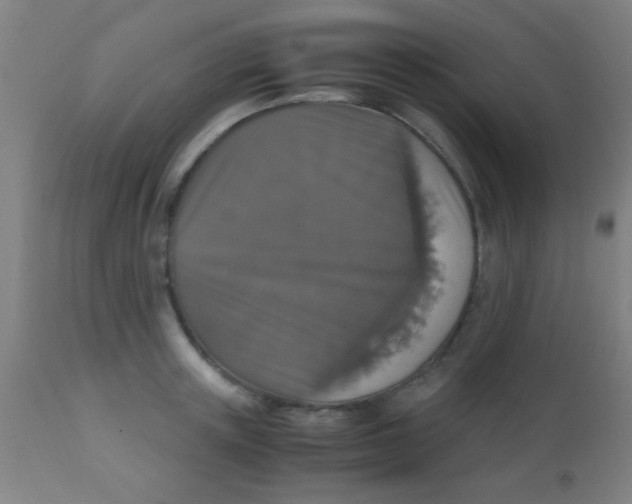 X0000110710851200907022021