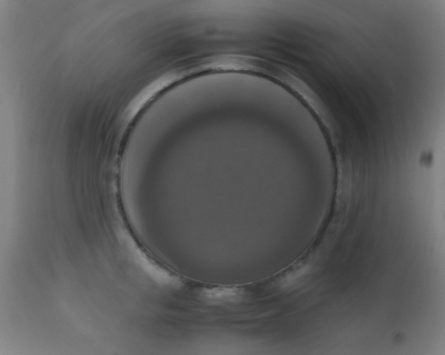 X0000110710853200907022021