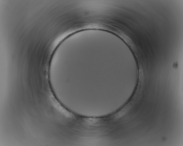 X0000110710854200907022021