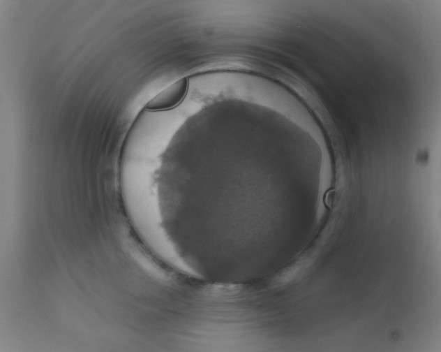 X0000110710858200907022021