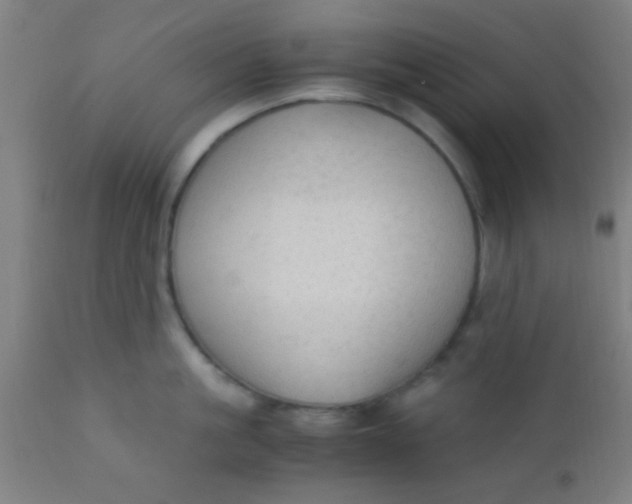 X0000110710861200907022021