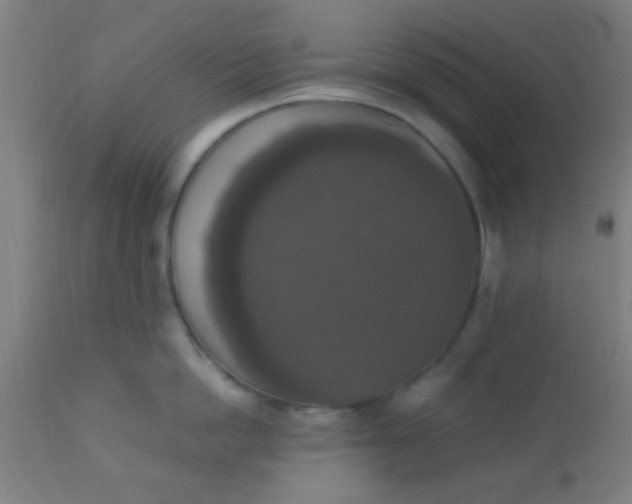 X0000110710862200907022021