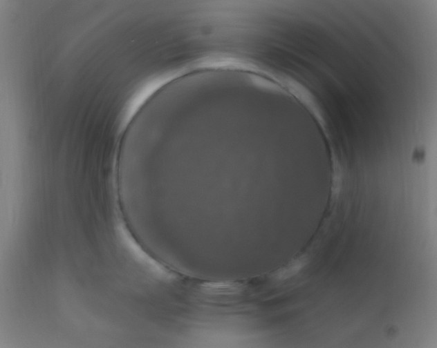 X0000110710863200907022021