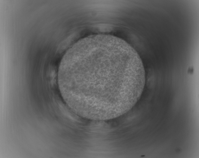 X0000110710866200907022020