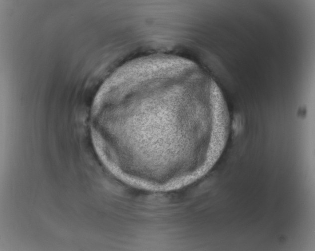 X0000110710867200907022020
