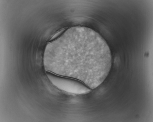 X0000110710868200907022020