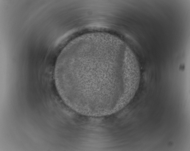 X0000110710870200907022020