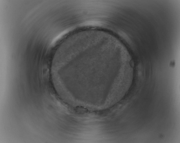 X0000110710872200907022020