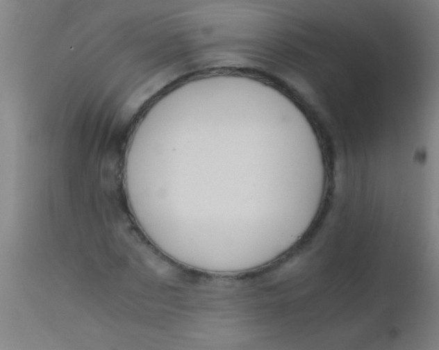 X0000110710873200907022020