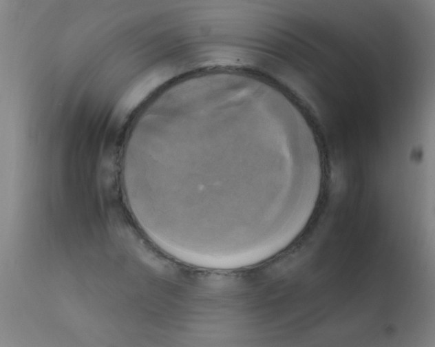 X0000110710874200907022020