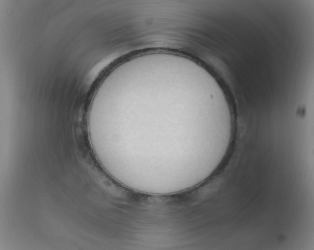 X0000110710875200907022020