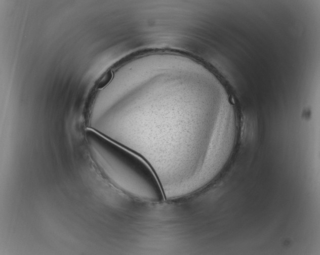 X0000110710876200907022020