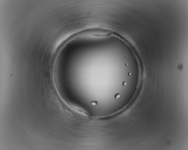X0000110710877200907022020