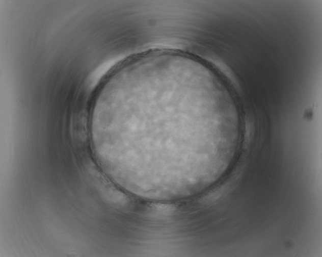 X0000110710878200907022020