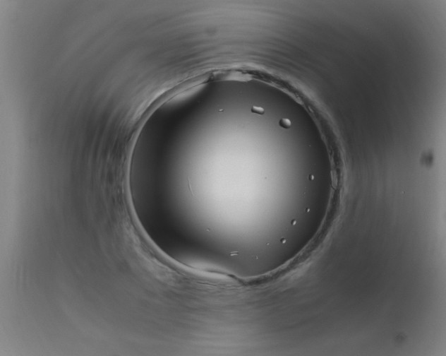 X0000110710881200907022020