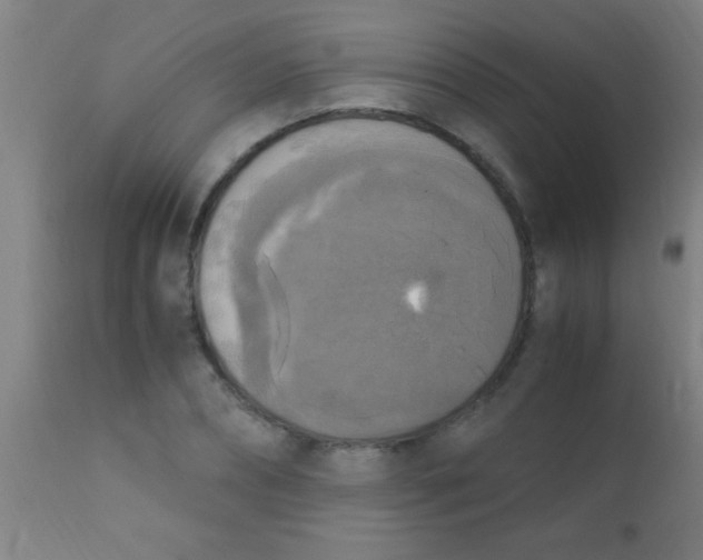 X0000110710882200907022020