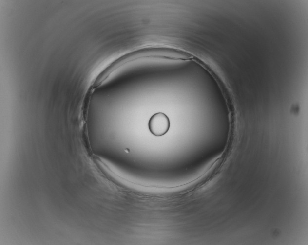 X0000110710885200907022020