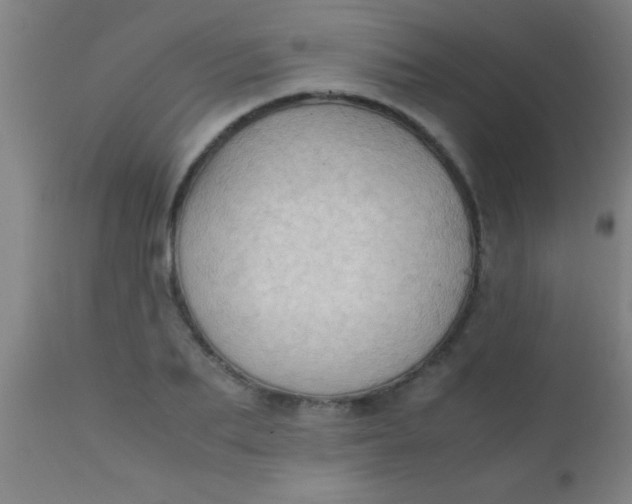 X0000110710887200907022020