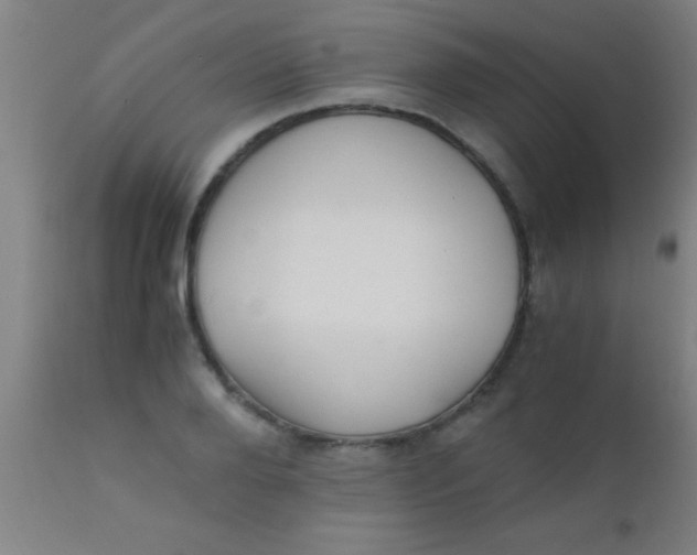 X0000110710888200907022020