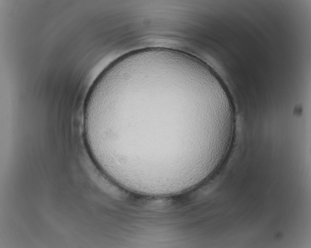 X0000110710891200907022020