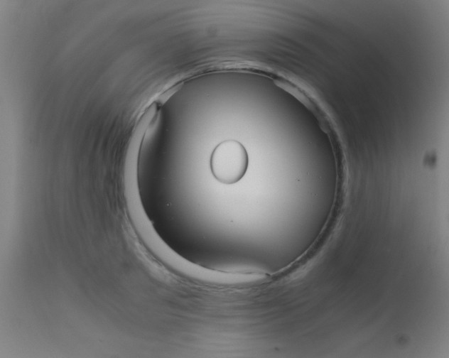 X0000110710897200907022020