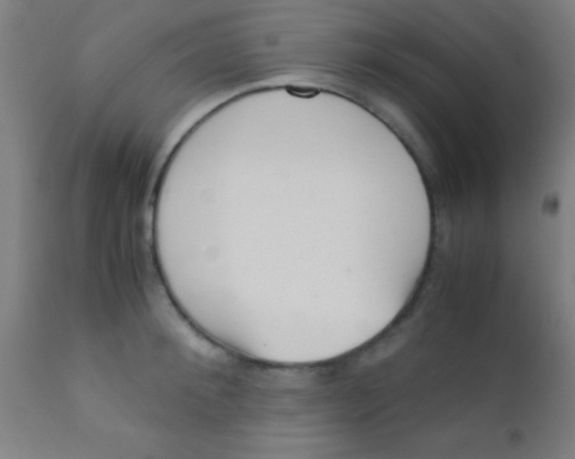 X0000110710900200907022020