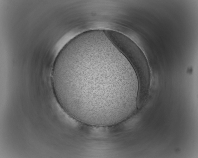X0000110710901200907022020