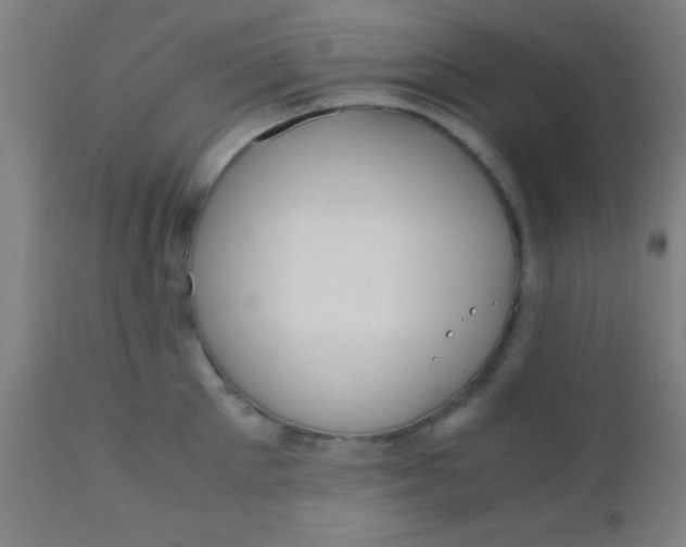 X0000110710905200907022020