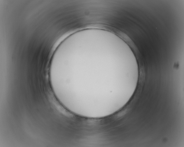X0000110710908200907022020