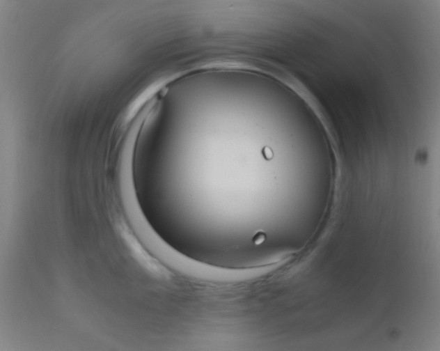 X0000110710909200907022020