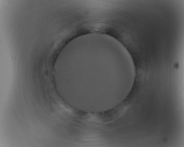 X0000110710913200907022019