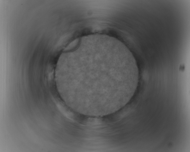 X0000110710914200907022019