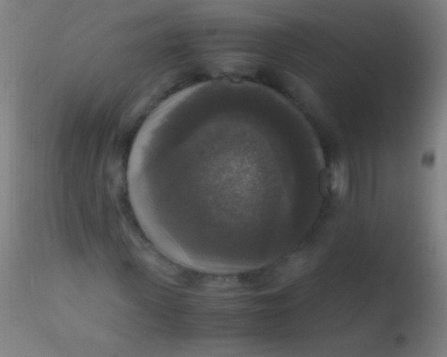 X0000110710915200907022019