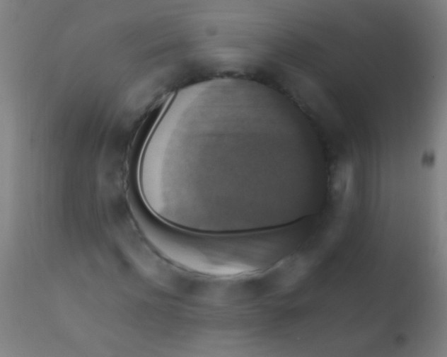 X0000110710916200907022019