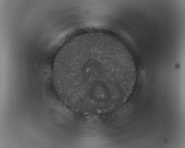 X0000110710918200907022019