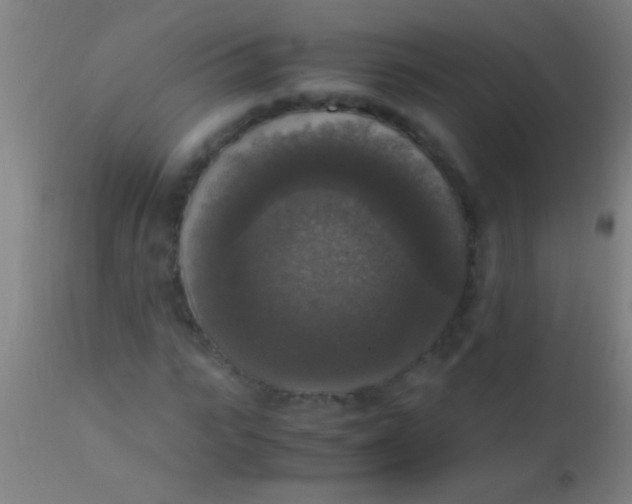 X0000110710919200907022019