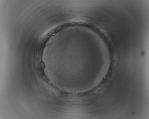 X0000110710920200907022019