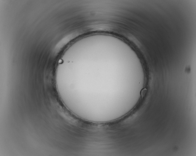 X0000110710922200907022019