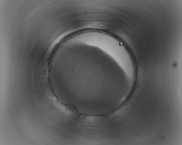 X0000110710923200907022019