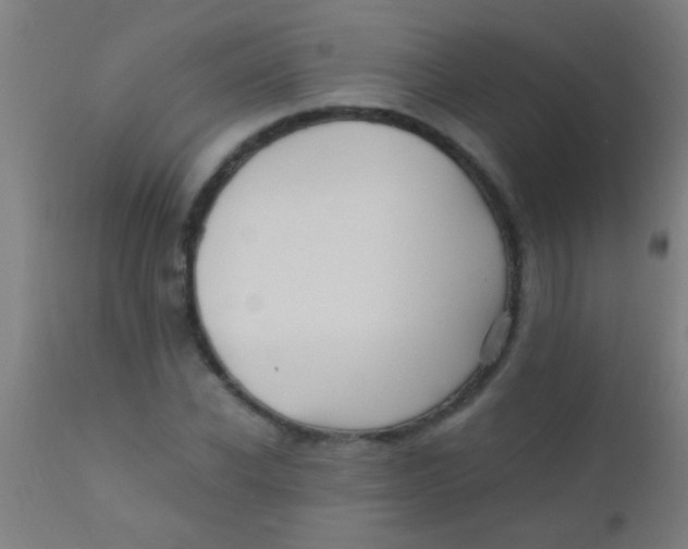 X0000110710926200907022019