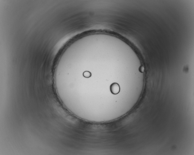 X0000110710927200907022019