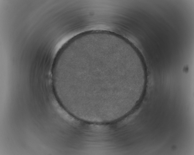 X0000110710928200907022019